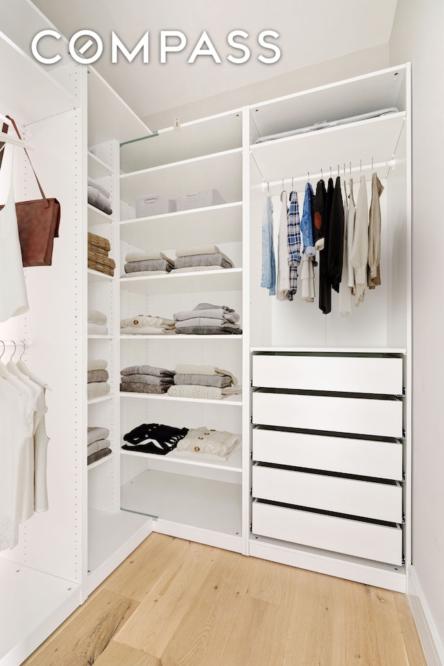 walk in closet featuring wood finished floors