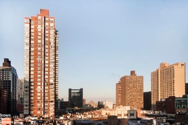 300 E 90th St Unit 9B, New York City, NY 10128 - skyline view