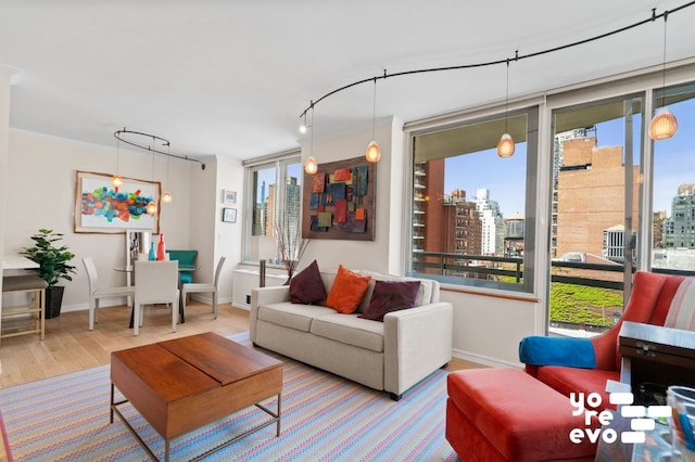 living area with wood finished floors, a city view, and baseboards