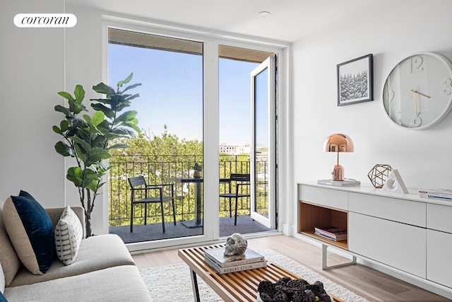 1173 Rogers Ave Unit 5C, New York City, NY 11226 - living room featuring wood finished floors and expansive windows