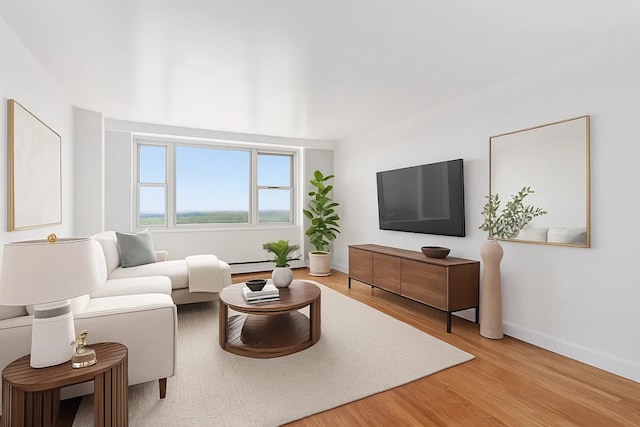 1655 Flatbush Ave Unit C2105, New York City, NY 11210 - living room featuring light wood-type flooring and baseboards