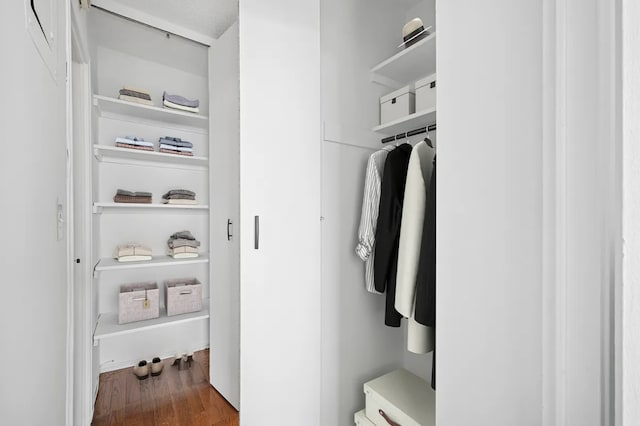 1655 Flatbush Ave Unit C2105, New York City, NY 11210 - view of closet