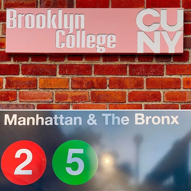 1655 Flatbush Ave Unit C2105, New York City, NY 11210 - exterior view of brick siding