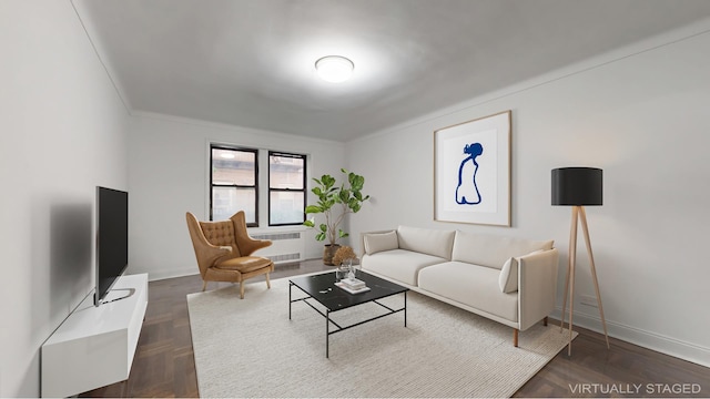 221 E 18th St Unit 1E, New York City, NY 11226 - living room with radiator, baseboards, and ornamental molding