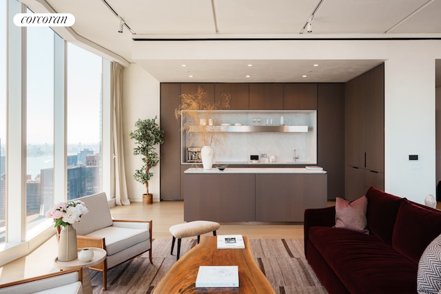 living area with track lighting, light wood finished floors, and bar with sink