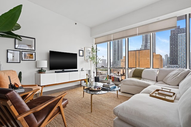 5-19 Borden Ave Unit 7-A, New York City, NY 11101 - living room featuring wood finished floors
