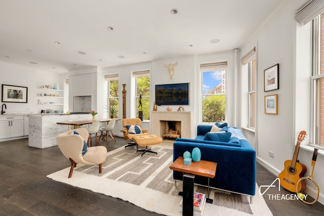 living room with dark wood finished floors and a fireplace