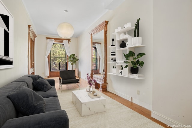 440 Greene Ave, New York City, NY 11216 - living room featuring light wood finished floors and baseboards