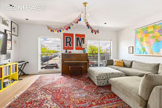 113A Columbia St, New York City, NY 11201 - living area featuring wood finished floors