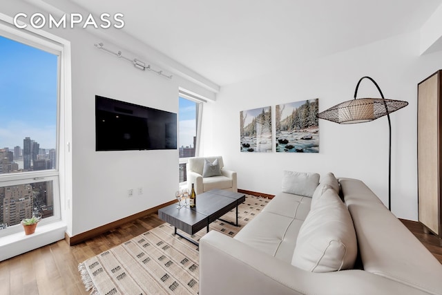 living room with wood finished floors and baseboards