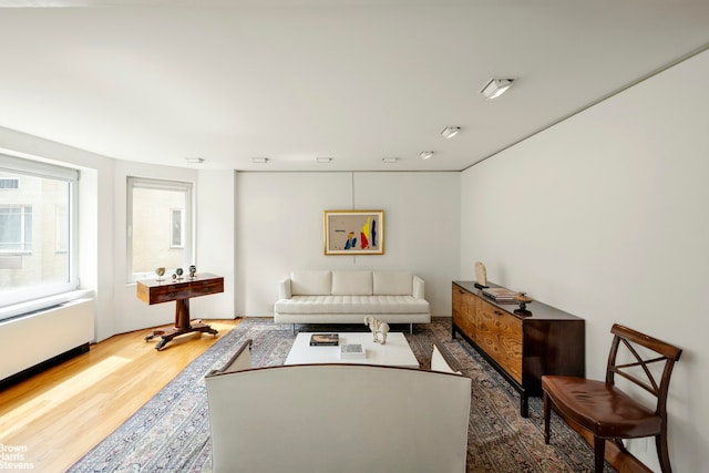 living room featuring wood finished floors