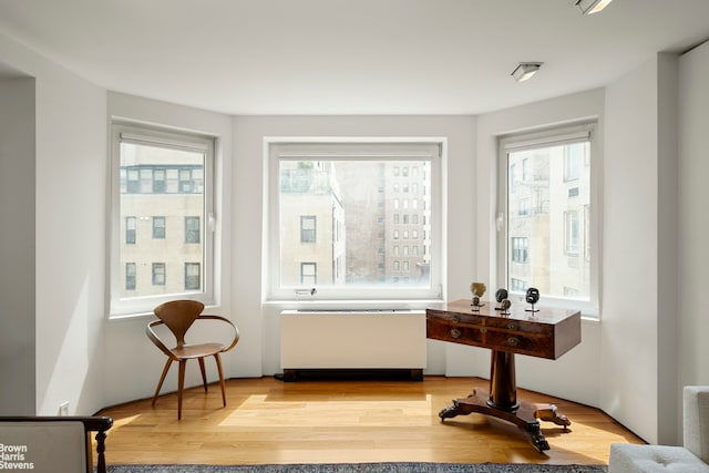 sitting room featuring radiator, healthy amount of natural light, and light wood finished floors