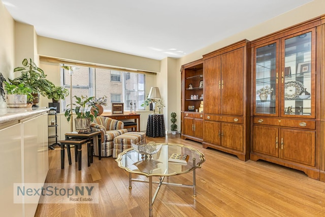 400 E 56th St Unit 25S, New York City, NY 10022 - living room featuring light wood-style flooring