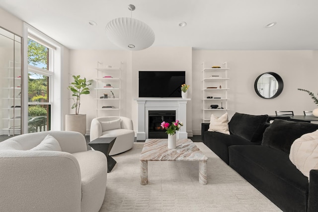 481 Macon St, New York City, NY 11233 - living area featuring a glass covered fireplace