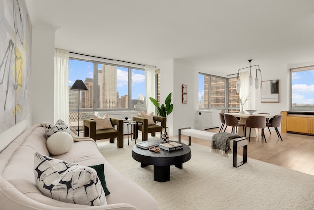 living area featuring light wood-style flooring and a view of skyline