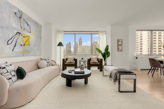 living area featuring wood finished floors, crown molding, and a view of skyline