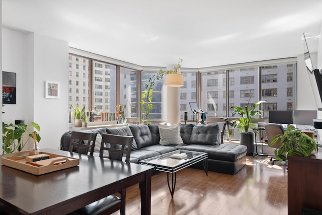 living room with hardwood / wood-style floors and floor to ceiling windows