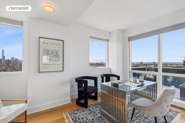 office with a view of skyline, wood finished floors, and baseboards
