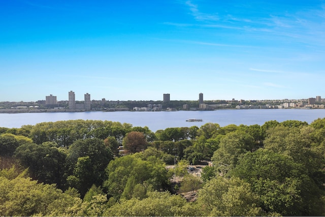 90 Riverside Dr Unit 14A, New York City, NY 10024 - water view