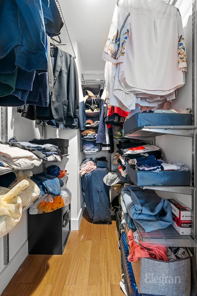 walk in closet featuring wood finished floors