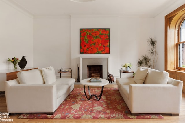 living area featuring ornamental molding, wood finished floors, and a fireplace