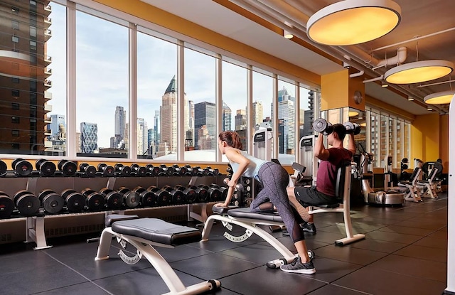460 W 42nd St Unit Ph-1C, New York City, NY 10036 - workout area with a skyline view