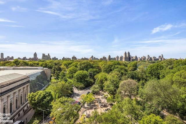 aerial view of a skyline view
