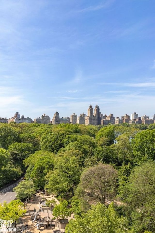 view of property's community with a view of skyline