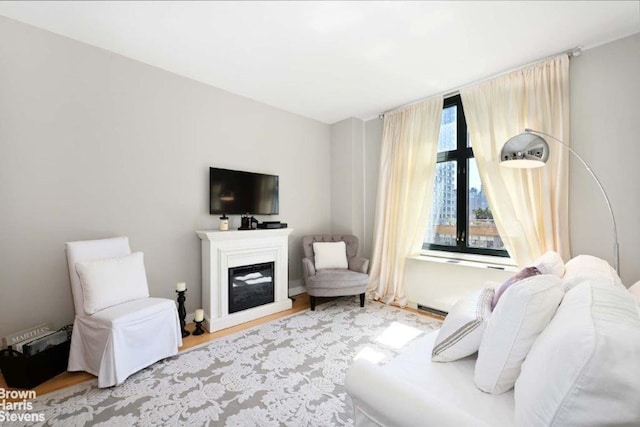 188 E 70th St Unit 16B, New York City, NY 10021 - living room with wood finished floors and a glass covered fireplace