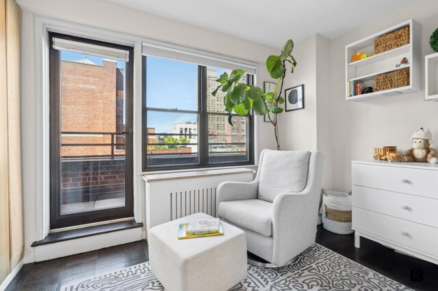 505 E 79th St Unit 17-D, New York City, NY 10075 - living area with healthy amount of natural light and radiator heating unit
