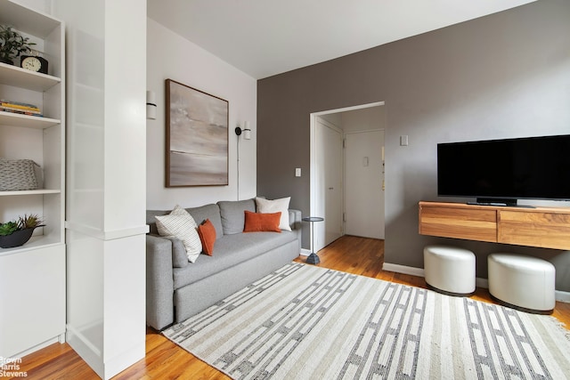 living room with light wood-type flooring