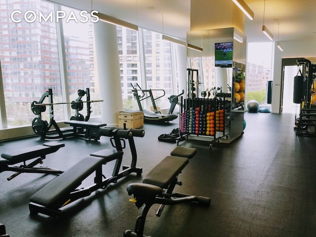 workout area featuring a wall of windows