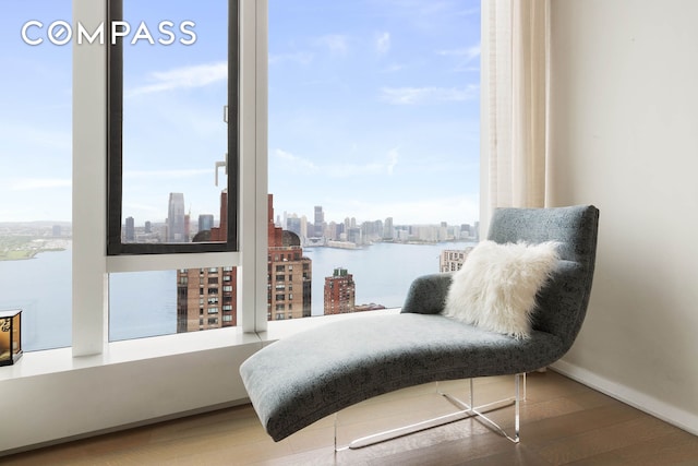 living area with a view of skyline, wood finished floors, and baseboards