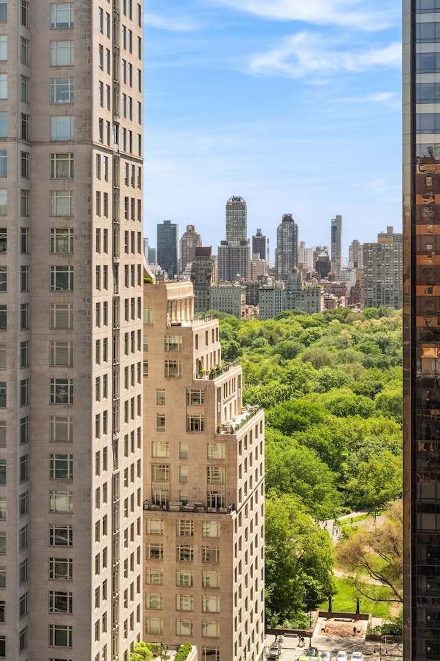 view of city skyline