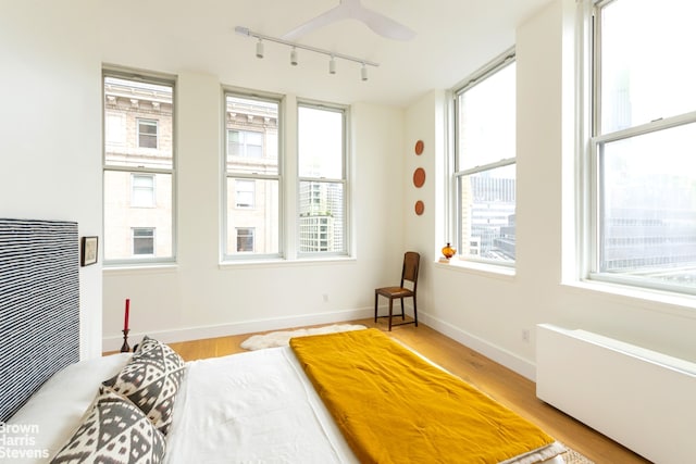bedroom featuring rail lighting, multiple windows, and light wood-style flooring