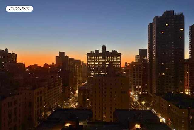 20 E 9th St Unit 18D, New York City, NY 10003 - view of city skyline