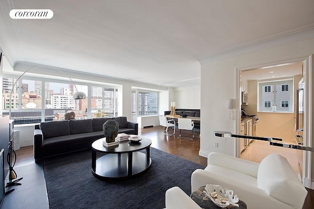 200 E 66th St Unit B1702, New York City, NY 10065 - living area with ornamental molding, wood finished floors, and a city view