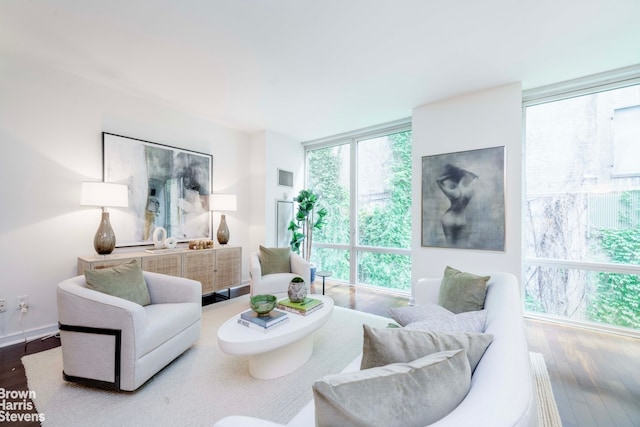 living area with wood finished floors
