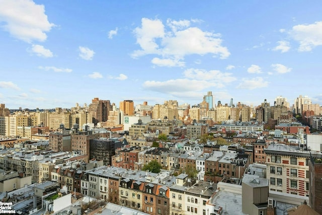 101 W 79th St Unit 14E, New York City, NY 10024 - view of city skyline