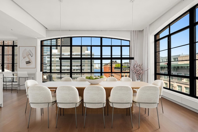 dining room featuring wood finished floors