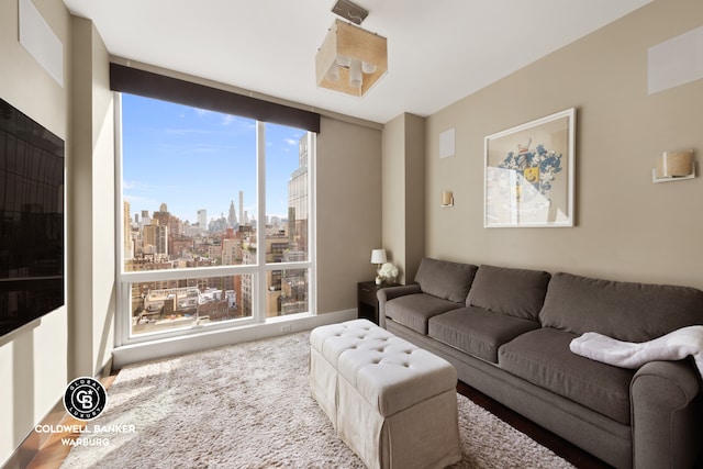 151 E 85th St Unit 17J, New York City, NY 10028 - living area featuring a skyline view and carpet flooring