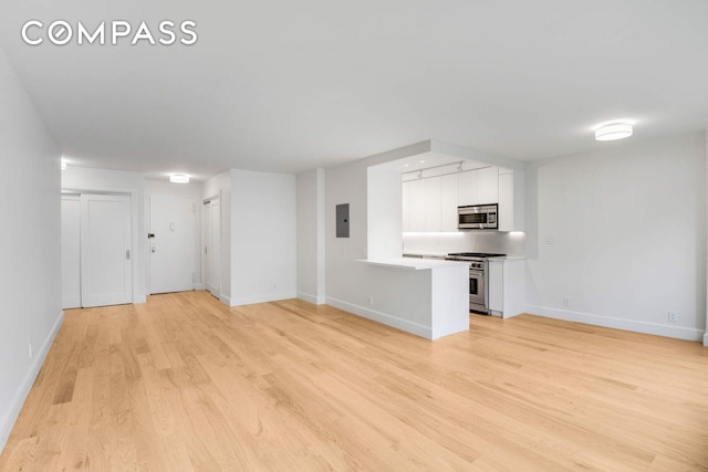 170 W End Ave Unit 12B, New York City, NY 10023 - unfurnished living room with electric panel, light wood-style floors, and baseboards