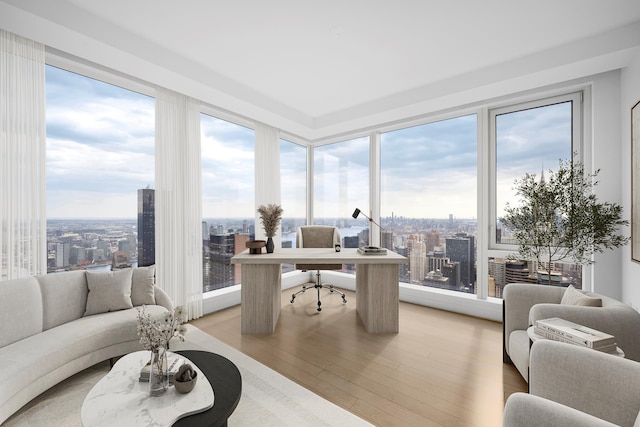 138 E 50th St Unit 68, New York City, NY 10022 - office area featuring light wood finished floors, healthy amount of natural light, and a city view