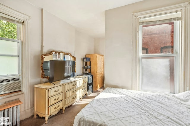 7 Sylvan Ct, New York City, NY 10035 - view of carpeted bedroom
