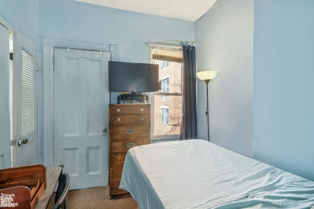 7 Sylvan Ct, New York City, NY 10035 - view of carpeted bedroom