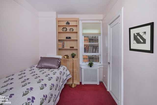 360 Riverside Dr Unit 8A, New York City, NY 10025 - bedroom featuring radiator and dark carpet