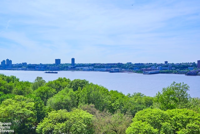 360 Riverside Dr Unit 8A, New York City, NY 10025 - water view with nearby urban area
