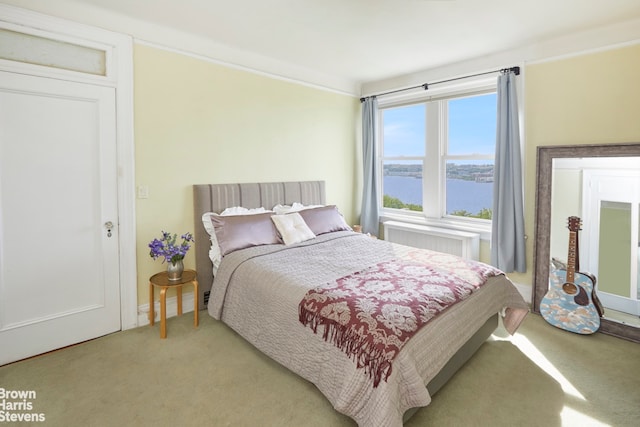 360 Riverside Dr Unit 8A, New York City, NY 10025 - bedroom featuring light carpet, radiator, and a water view