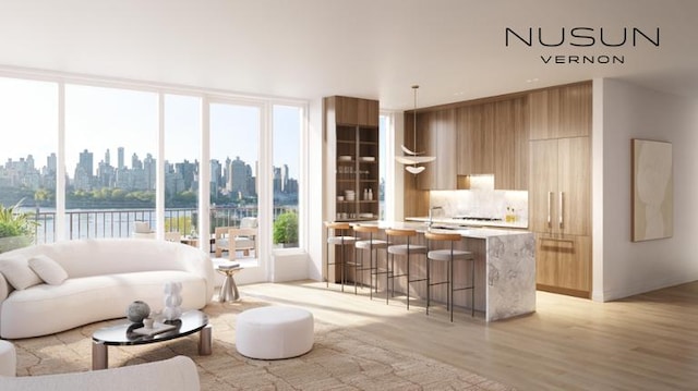 30-55 Vernon Blvd Unit 3J, New York City, NY 11102 - living room featuring light wood-style floors and a skyline view