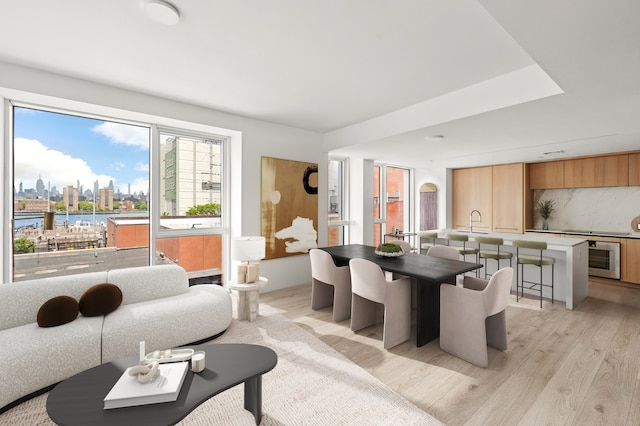 288 Water St Unit 4-B, New York City, NY 11201 - living area with light wood-type flooring and a view of city